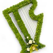 Harp Funeral Tribute