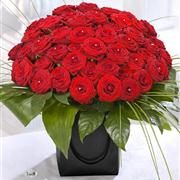 WOW! Red Rose Extravaganza