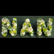 NAN Funeral Tribute Peach Yellow &amp; Cream