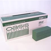 Oasis Maxlife Foam Bricks