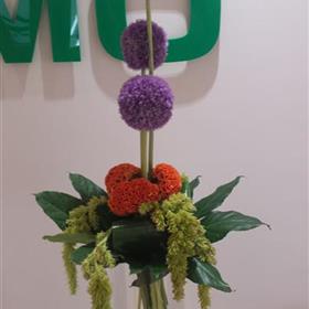 fwthumbAlium-Vase-display-Corporate-Flowers-Rays-Florist.jpg