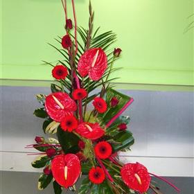 fwthumbAsymmetrical-Pedestal-Arrangement-Corporate-Flowers-Rays-Florist.jpg