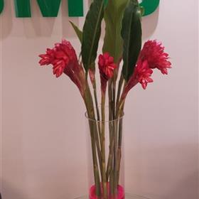 fwthumbBusiness-Corporate-Flower-Display-Ginger-Glass-Vase.jpg