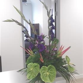 fwthumbBusiness-Office-Flowers-Gladioli-Anthuriums.jpg
