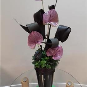 fwthumbBusiness-Office-Flowers-Purple-Anthuriums.jpg