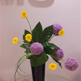 fwthumbCorporate-Business-Flowers-Allium.jpg