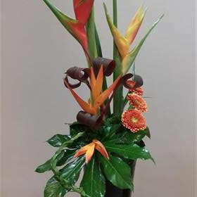 fwthumbCorporate-Business-Flowers-Exotic.jpg