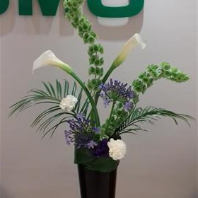 fwthumbCorporate-Business-Flowers-Molucella-Calla.jpg