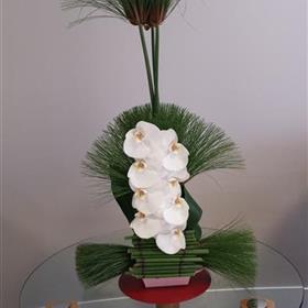 fwthumbCorporate-Business-Office-Flowers-Orchid.jpg