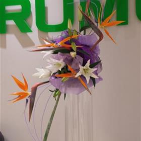 fwthumbCorporate-Business-Office-Flowers-Strelitzia.jpg