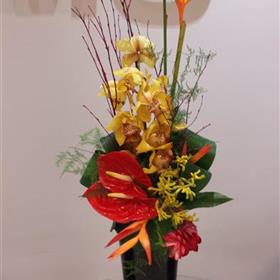fwthumbCorporate-Office-Reception-Display-Orchid.jpg