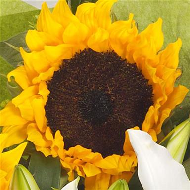Sunflower Mix Handtied Bouquet Rays Florist Flowers For Delivery