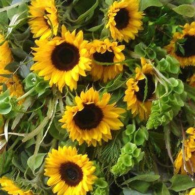Sunflower Tied Sheaf Funeral Tributes By Rays Florist