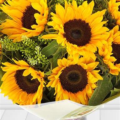Sunflowers Flower Bouquet Rays Florist Flowers For Delivery