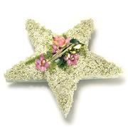 5 Point Star