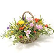 Mixed Freesia Basket