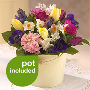 Mum&#39;s Posy