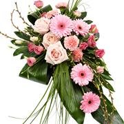 Pink Single Ended Spray