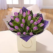 Purple Tulips