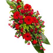 Red Double Ended Spray
