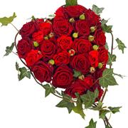 Red Rose Heart
