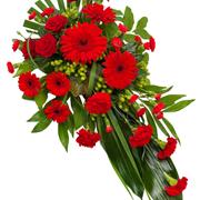 Red Single Ended Spray