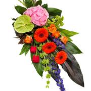 Vibrant Sheaf