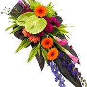 Vibrant Single Ended Spray