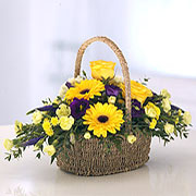 Bold Basket