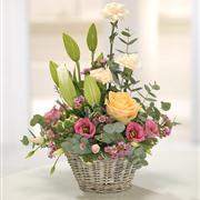 Warm Basket