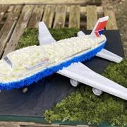 Jumbo Jet Plane 3D