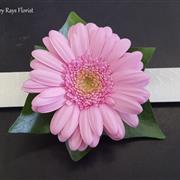 Gerbera Wrist Corsage