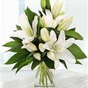 Pure White Lilies