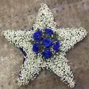 Gypsophila Star Funeral Tribute