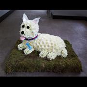 Highland White Terrier Dog 3D