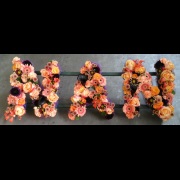 NAN Funeral Tribute Peach, Orange &amp; Aubergine