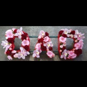 DAD Funeral Tribute Red &amp; Pink