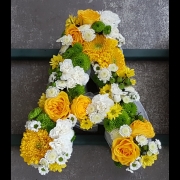 Loose Letter Lime, White and Yellow (Spell any name or word)