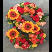 Loose Letter Rich Autumnal colours (Spell any name or word)