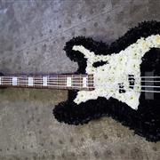 Fender Bass Guitar