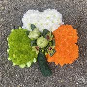 Shamrock as Irish Flag Tribute