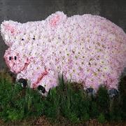 Pink Pig 2D Funeral Tribute