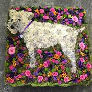 Terrier Dog 2D Funeral Tribute