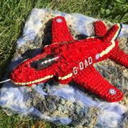 Red Arrows Plane 3D