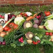 Vegetable Casket Spray