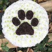 Dog Paw Print on a Posy Pad