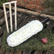 Cricket Bat and Stumps