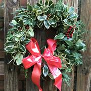 Plain Holly Wreath