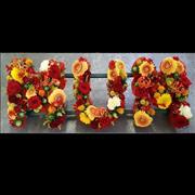MUM Funeral Tribute Autumn Colours