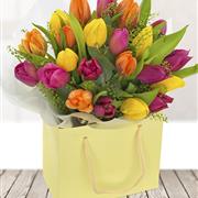 Tulip Temptation